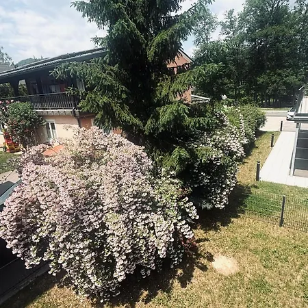 Mit Grosser Terrasse In 3 * Reifnitz