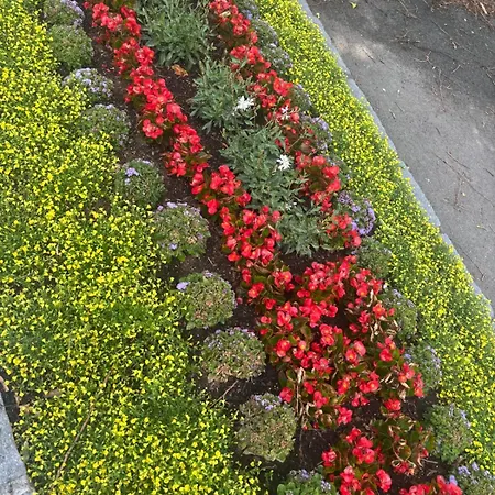 Mit Grosser Terrasse In 3 דירה *